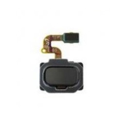 Cable Flex del Botón Home...