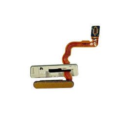 Flex Lector de Huellas para...