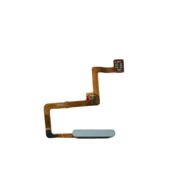 Original Flex Lector de...