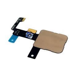 Flex Lector de Huella...